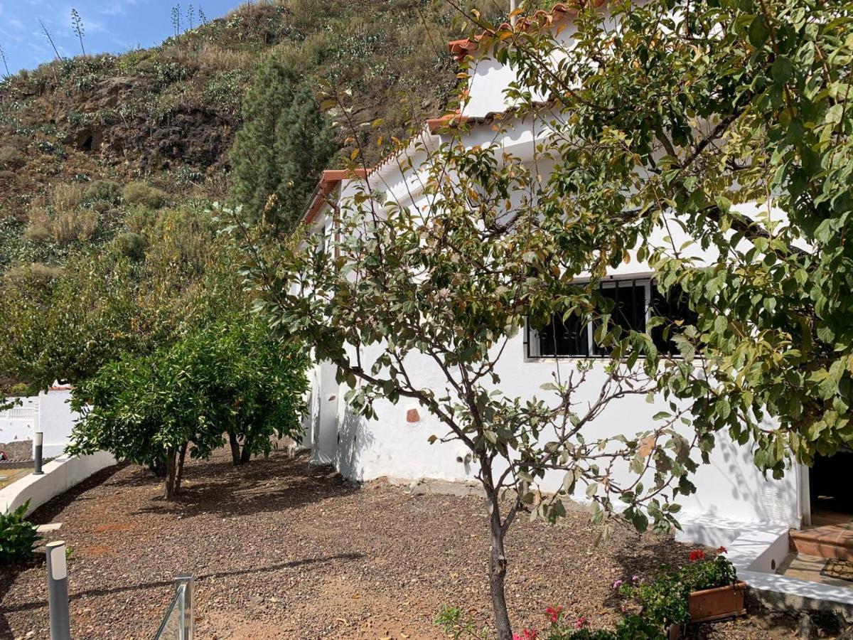 Casa Rural La Yedra San Mateo Arbejales 外观 照片