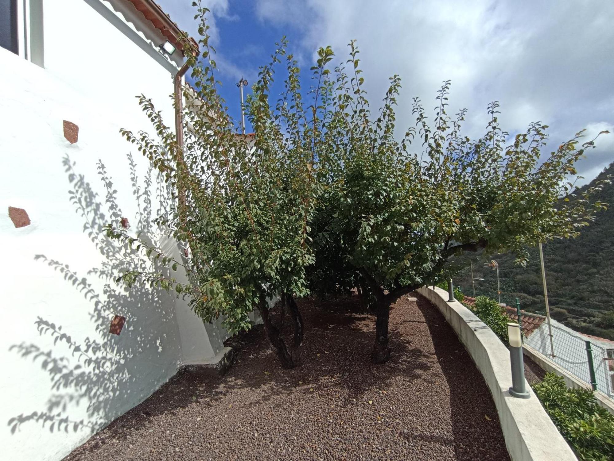 Casa Rural La Yedra San Mateo Arbejales 外观 照片