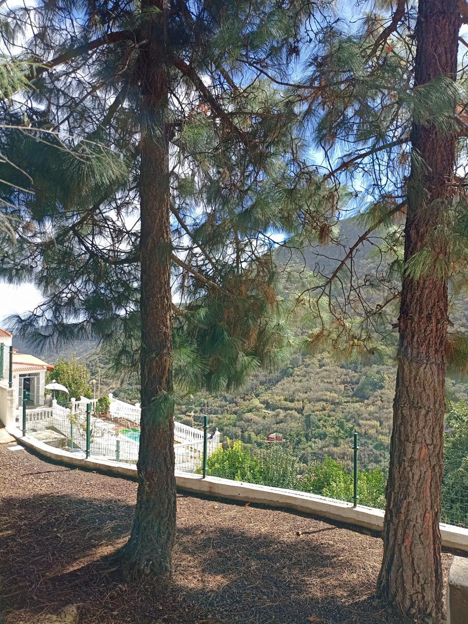 Casa Rural La Yedra San Mateo Arbejales 外观 照片