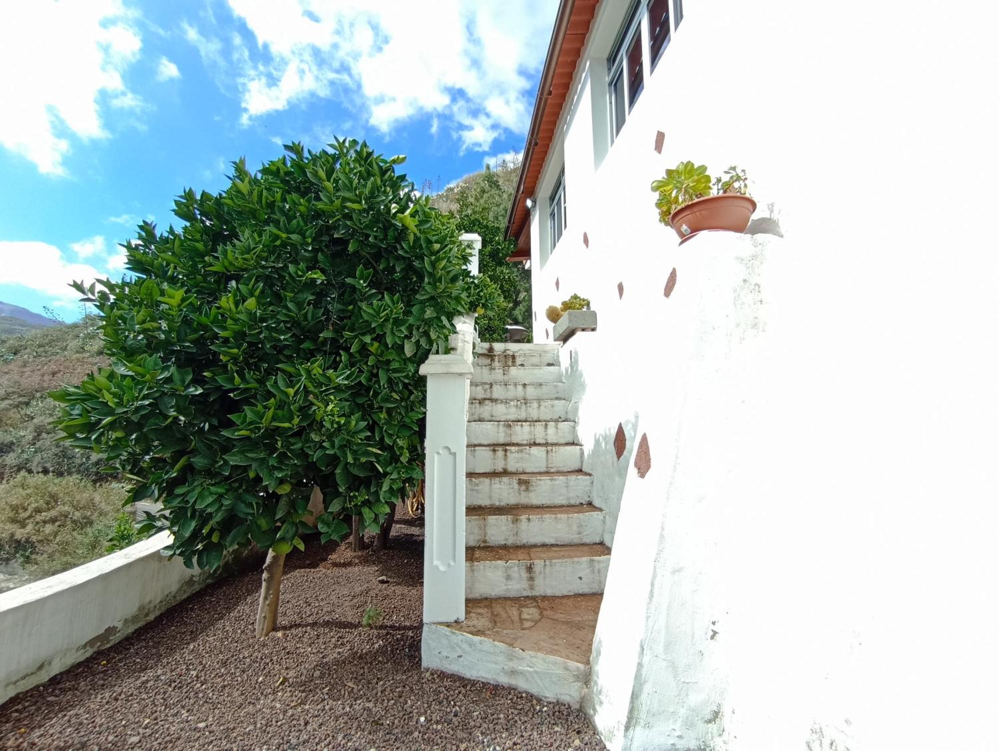 Casa Rural La Yedra San Mateo Arbejales 外观 照片